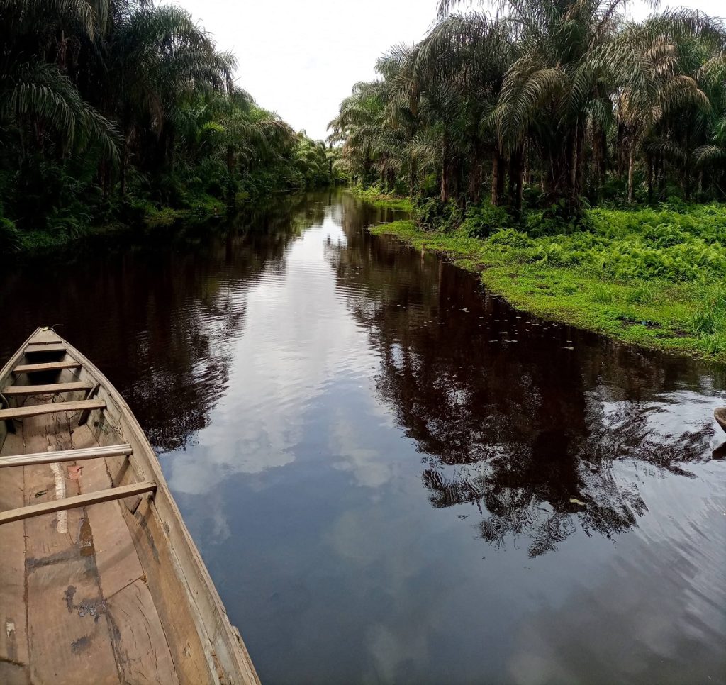 Rivière noir d'Adjarra